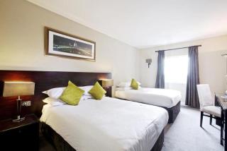 Stamford Bridge Hotel London - Londra - 4