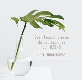AACR Hotel Monteolivos - Sevilla - 8