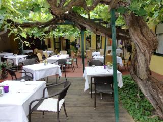 Landgasthof Zum Alten Weinstock - 1
