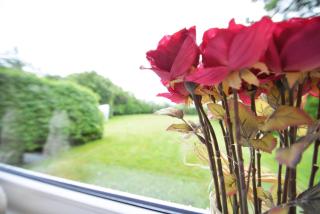 Mariannes Hues Wohnung 1 - Borgsum - 2