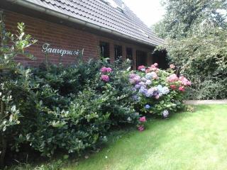 Ferienwohnung in Borgsum (oben rechts) - Borgsum - 2