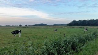 Ferienwohnung Diek - Humptrup - 8