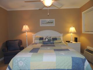 Updated and Classy One BR Oceanview Condo Bikes & Beach Gear included - 3