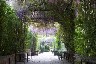 Domaine Codaleone - Serriera - 3