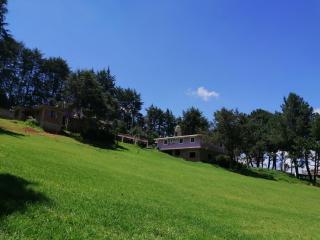Hotel Bosques - Zacatlán - 5