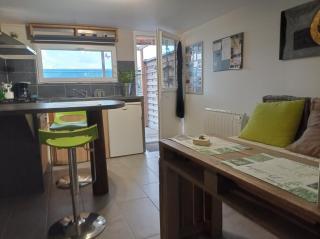 Appartement plein pied bord de mer - Sibiril - 2