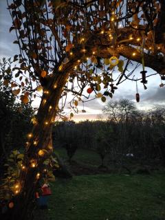 CASA RURAL LIMÓN Y SOL - 8