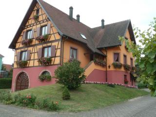 Marronnier - Epfig - 0