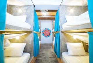 Freesoul Hostel - Palomino - 2
