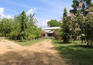 Lavish Eco Jungle - Tissamaharama - 6