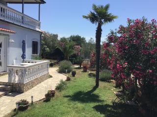 Apartmani Misic - Ždrelac - 8