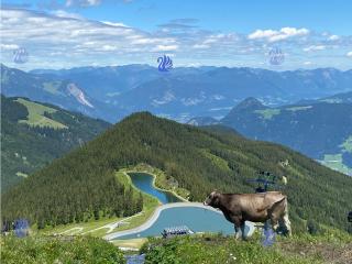 Royal Swan Appartement, Tirol - 4