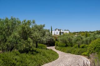 Altanure Casa Terra - Ecological Boutique Stay - Tavira - 7