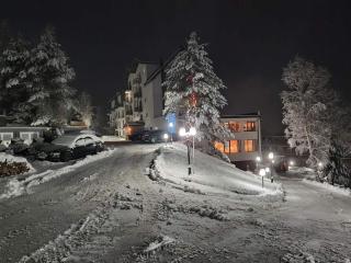 Harmonija Resort - Harmonija Kopaonik - Kopaonik - 6