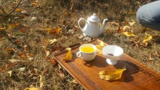 Wangnoo Heritage Houseboats - Srinagar - 1
