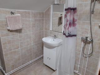 Casa Morii - Balinţ - 7
