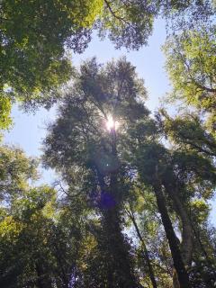 Hostal La Casita del Bajo - 5