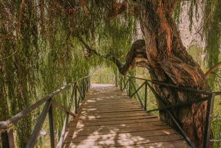 Hotel Vívelo Elqui Landscape - 6