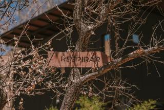 Hotel Vívelo Elqui Landscape - 4