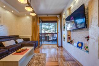Apartment Papillon 2 - Zlatibor - 6