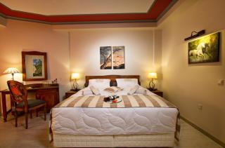 Hotel Rodovoli - Konitsa - 7