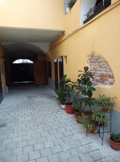 MSH Rustic apartment - Liars Bridge Sibiu - Sibiu - 8