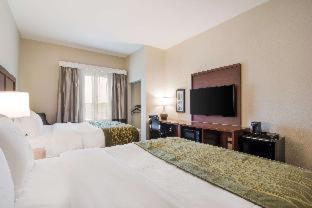 Comfort Inn & Suites Rock Hill Northeast - 2