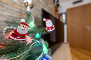 Apartman Hedonist - Zlatibor - 4