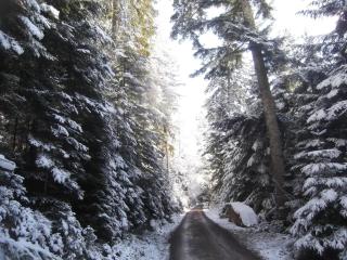 Schwarzwald-Gasthof Hirsch - Bad Wildbad - 9