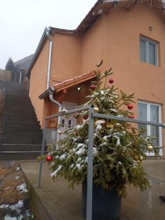 Apartman Visnja - Crni Vrh - 9