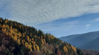 RAI Apartament - Sinaia - 5