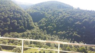 RAI Apartament - Sinaia - 4