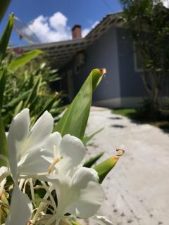 Casa no Centrinho 100m do Mar - Bombinhas - 8