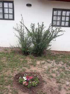 Lomas de Belgrano - 4
