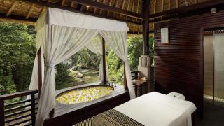 Maya Ubud Resort & Spa - Ubud - 1