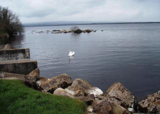 Maryville Bed and Breakfast - Nenagh - 4
