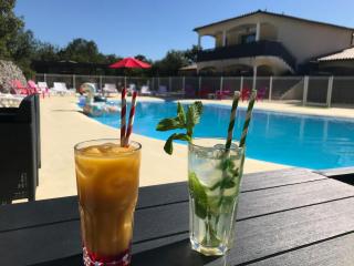 LE PARADIS ACQUIS - Labastide-de-Virac - 9