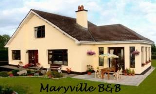 Maryville Bed and Breakfast - Nenagh - 0