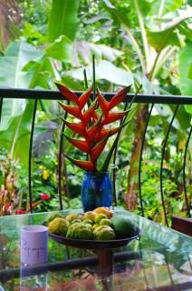 Charming house in Victoria with mountain view - 8