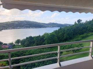 Studio charmant à La Trinité - Vue mer - 40 m² - La Trinité - 6