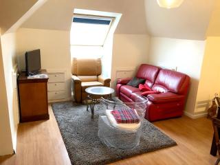 Appartement cosy à Sannois de 110 m² avec jardin clôturé - Sannois - 9