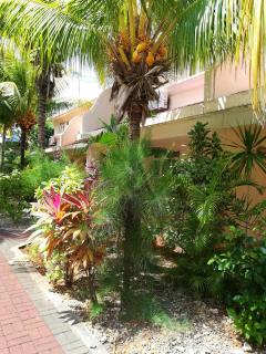Spacious apartment in Flic en Flac 114 m² with shared pool - Flic en Flac - 3