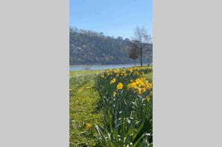 Comfortable new Apartment in #Koblenz# direkt am Rhein - Coblenza - 2