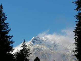 HOSTEL CPPI Vest - 5