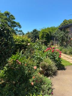 Cabbage Tree Cottage - Hilton - 8
