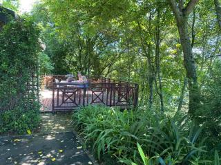 Cabbage Tree Cottage - Hilton - 7