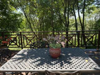 Cabbage Tree Cottage - Hilton - 6