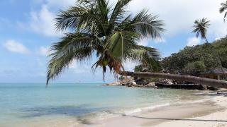 Baan Sawadee villa (walk to the beach) Koh Samui Thailand - Koh Samui - 7