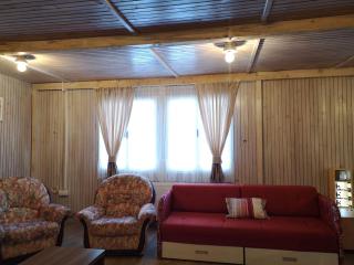 Apartments&Camping ZIP - Kremna - 4