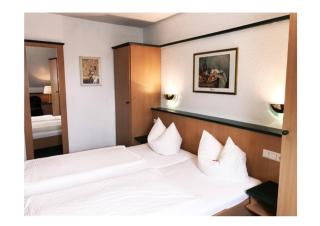 Hotel-Landgasthof Grüner Baum - Dittigheim - Tauberbischofsheim - 4